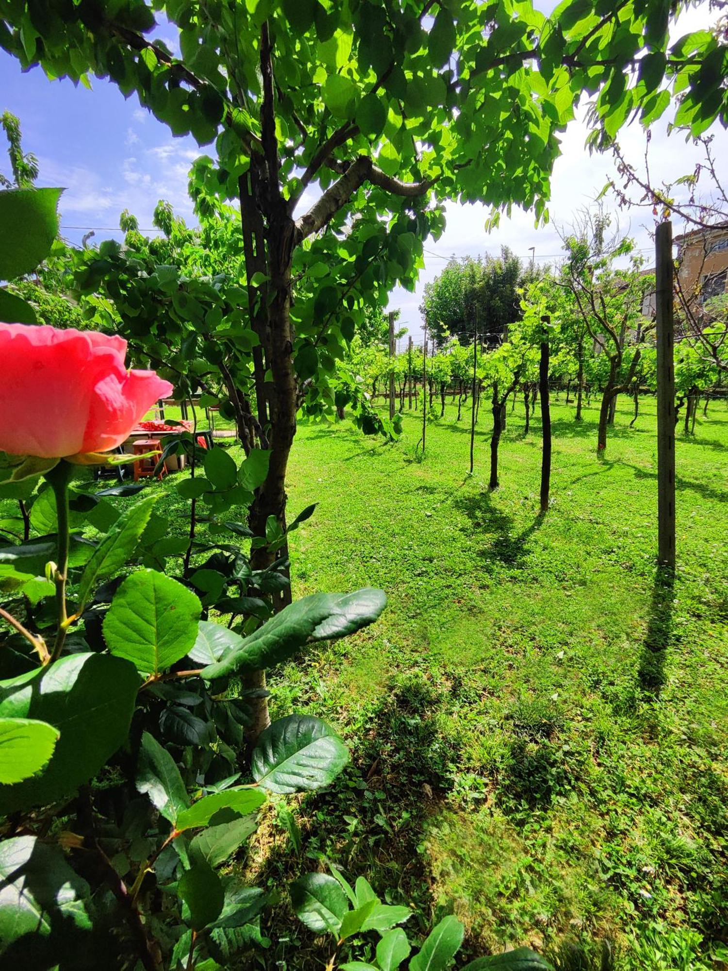 Garda Relais Antica Romelia Bed and Breakfast Montichiari Exteriör bild