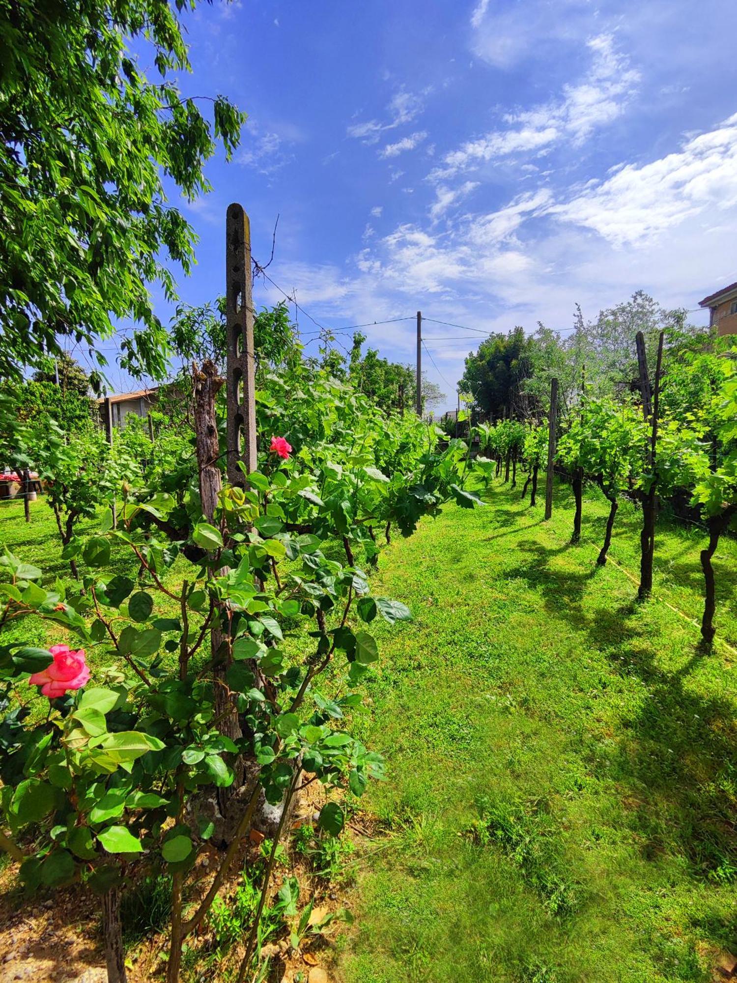 Garda Relais Antica Romelia Bed and Breakfast Montichiari Exteriör bild